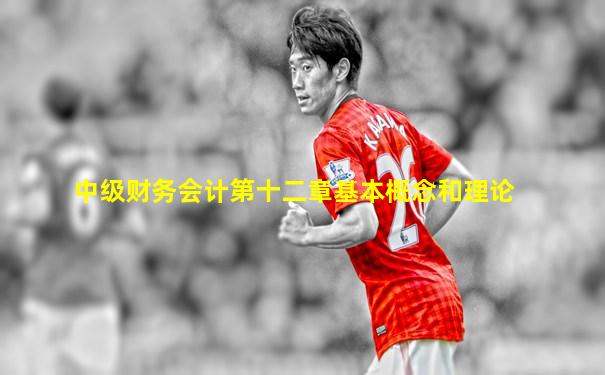 中级财务会计第十二章基本概念和理论