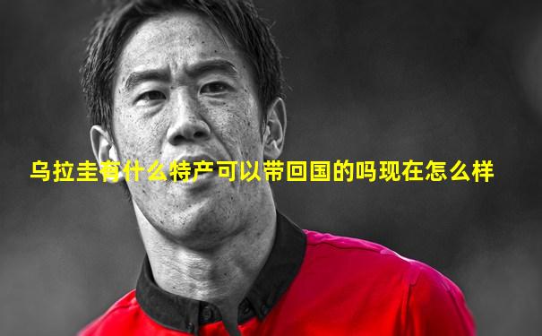 乌拉圭有什么特产可以带回国的吗现在怎么样