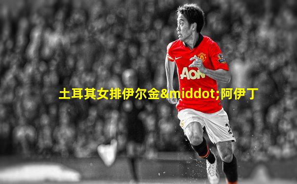 土耳其女排伊尔金·阿伊丁