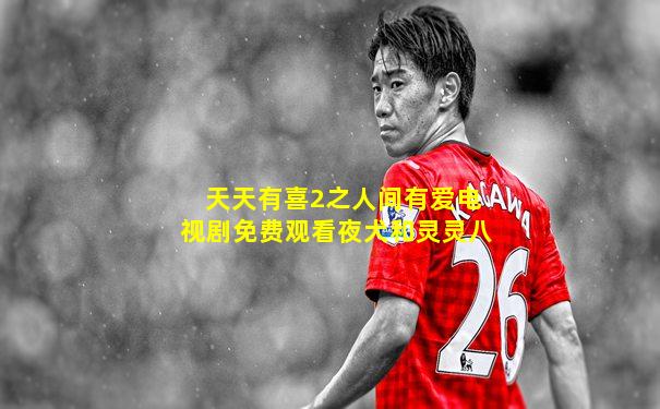天天有喜2之人间有爱电视剧免费观看夜犬和灵灵八
