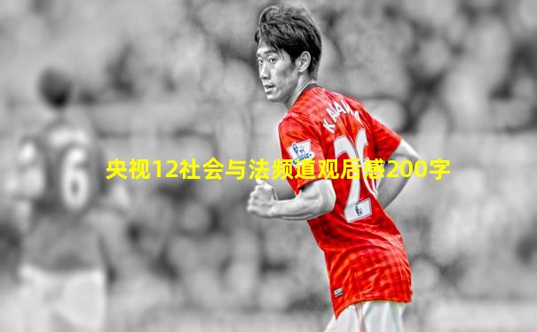 央视12社会与法频道观后感200字