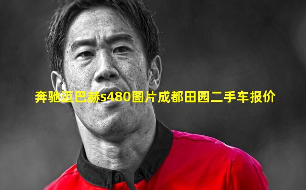 奔驰迈巴赫s480图片成都田园二手车报价