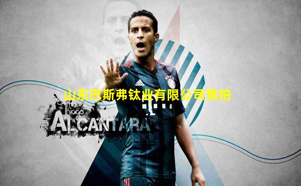 山东巴斯弗钛业有限公司竞拍
