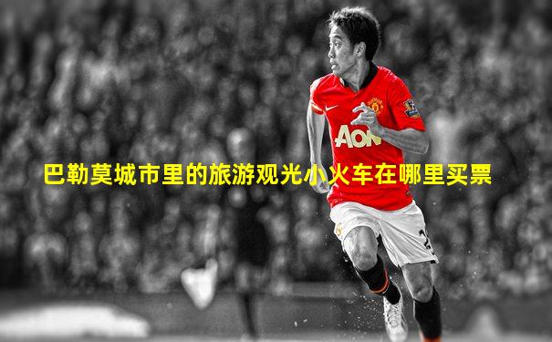 巴勒莫城市里的旅游观光小火车在哪里买票