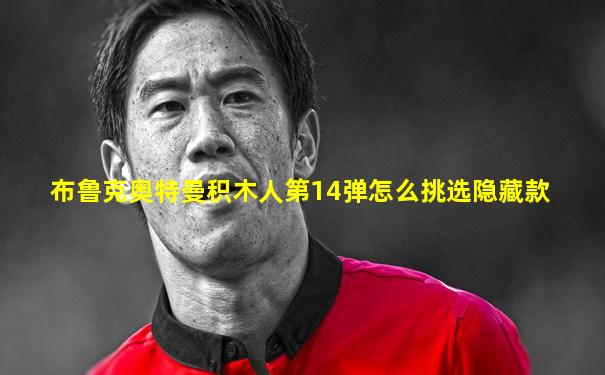 布鲁克奥特曼积木人第14弹怎么挑选隐藏款