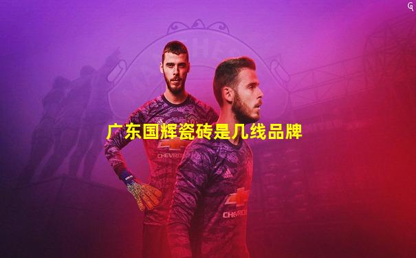 广东国辉瓷砖是几线品牌