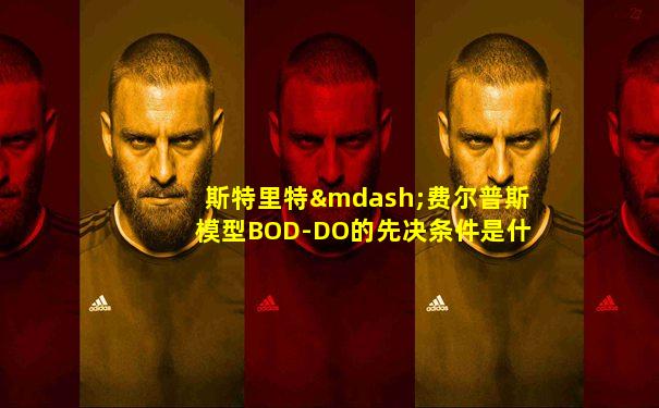 斯特里特—费尔普斯模型BOD-DO的先决条件是什么