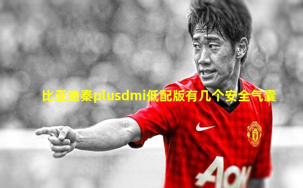 比亚迪秦plusdmi低配版有几个安全气囊