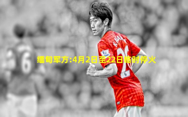 缅甸军方:4月2日至22日临时停火