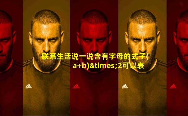 联系生活说一说含有字母的式子(a+b)×2可以表示的意义