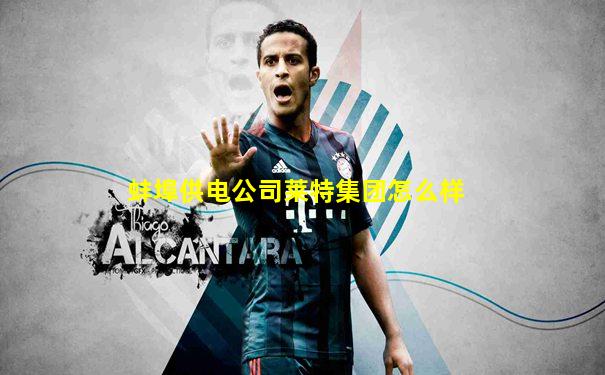 蚌埠供电公司莱特集团怎么样