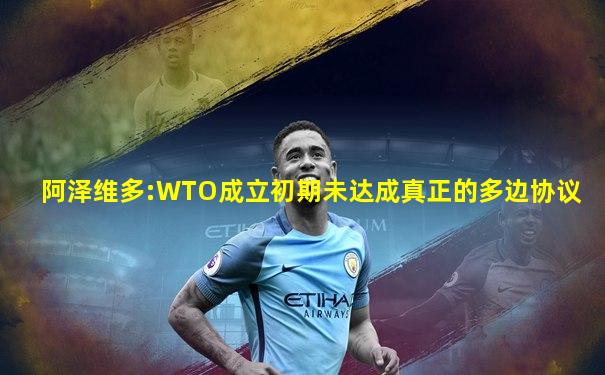 阿泽维多:WTO成立初期未达成真正的多边协议