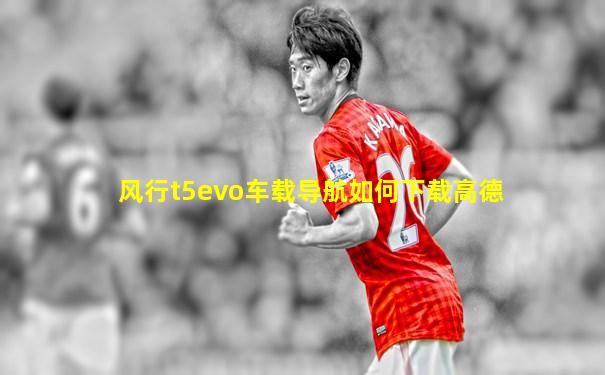 风行t5evo车载导航如何下载高德